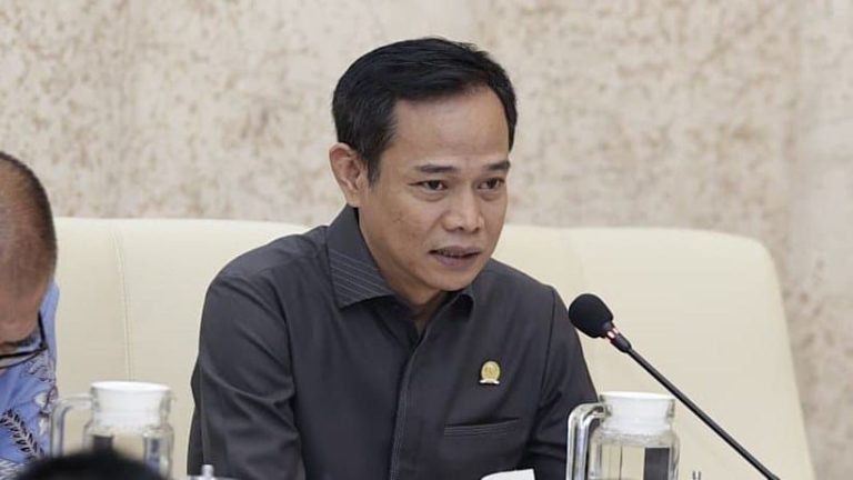 Eka Widodo Komisi II DPR Minta Pemda Segera Gunakan Anggaran Karhutla