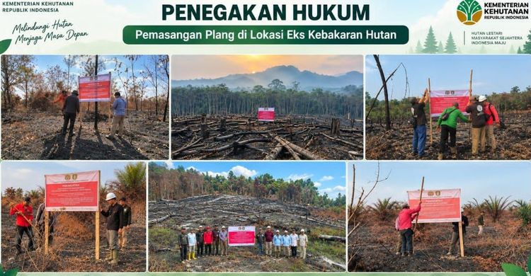 Kemenhut Tindak 31 Kasus Karhutla Seluas 3.625 Hektare